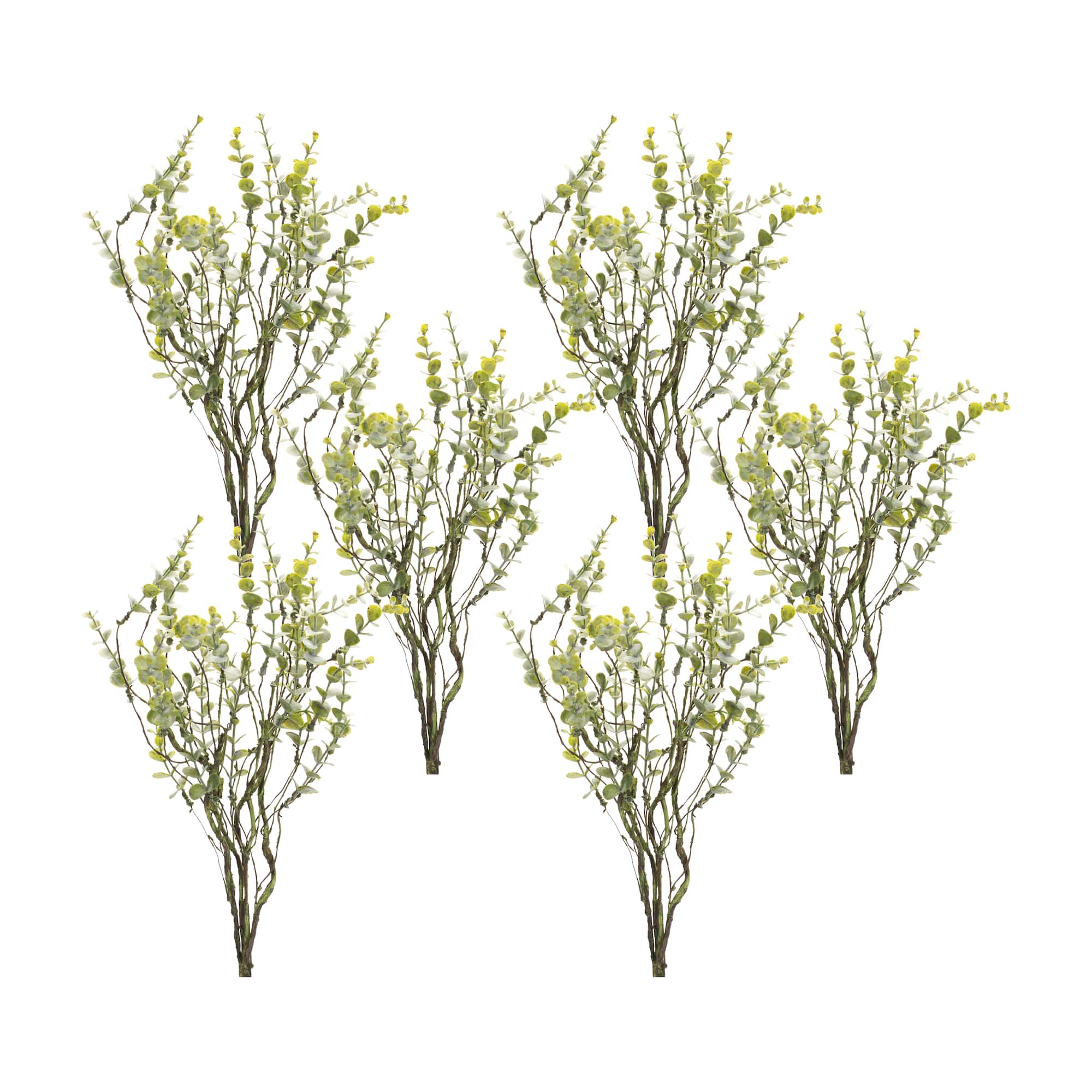18" Boxwood Twig Foliage Sprays, 6ct.